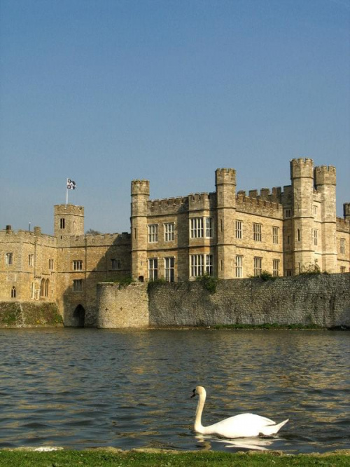 Castle swan...