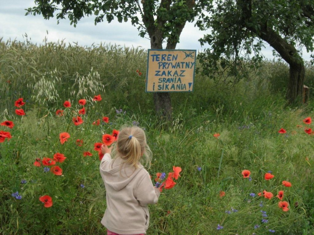 Dzieło sąsiada. Troska o przyrodę czy początek sporu jak z Zemsty?