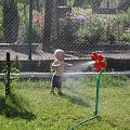 Ten kwiatek chyba mnie śledzi!!