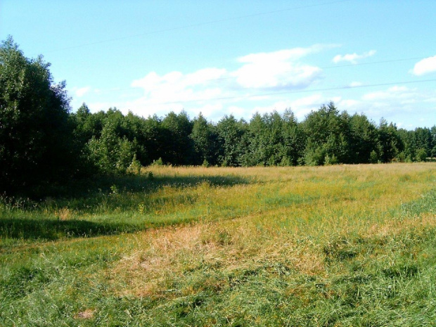 Bialoruś ...rzeczka i widoki