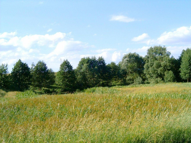 Bialoruś ...rzeczka i widoki