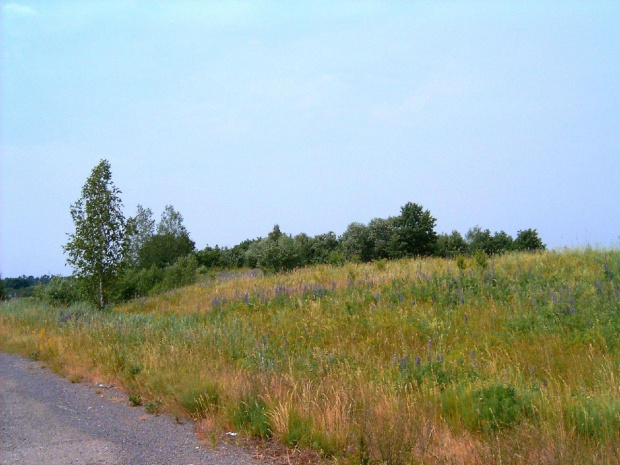 Bialoruś ...rzeczka i widoki