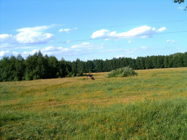 Bialoruś ...rzeczka i widoki