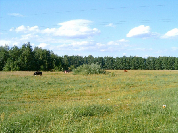 Bialoruś ...rzeczka i widoki