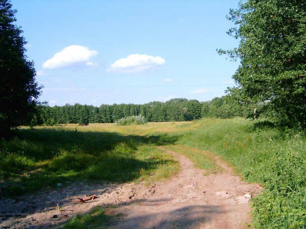 Bialoruś ...rzeczka i widoki