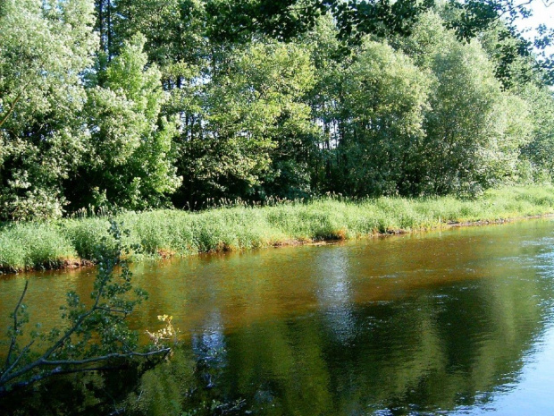 Bialoruś ...rzeczka i widoki