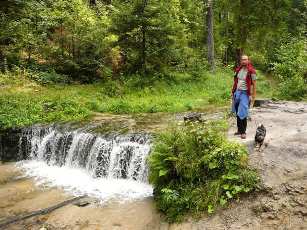 Szumy nad Tanwią