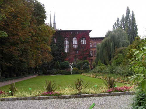 Wrocławski Ogród Botaniczny