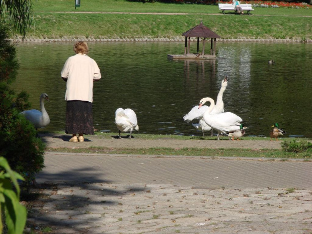 #Nałęczów #spacer #park #PijalniaCzekolady #łabędzie #staw #Agatka #Filip #Adusia #Marcin #słońce #Brutus