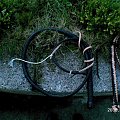 bull by kiścień 5' #bullwhip