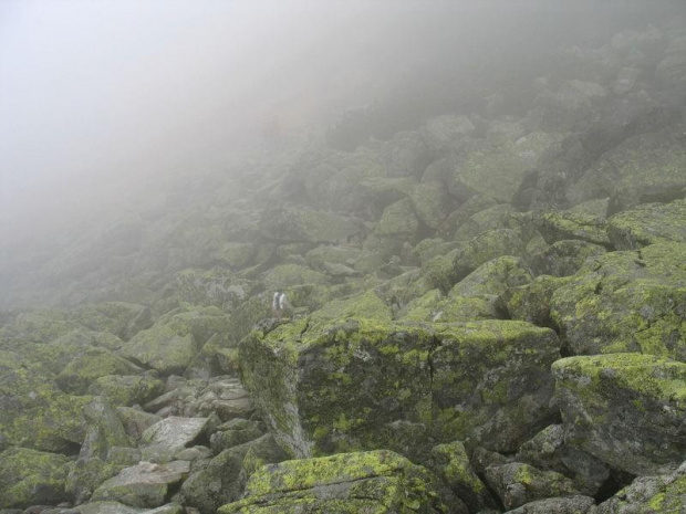 Świstówka Roztocka #góry #tatry