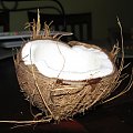 Eksperyment z kokosem