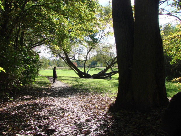 Pażdziernik 2007