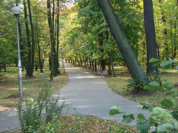 Pażdziernik 2007