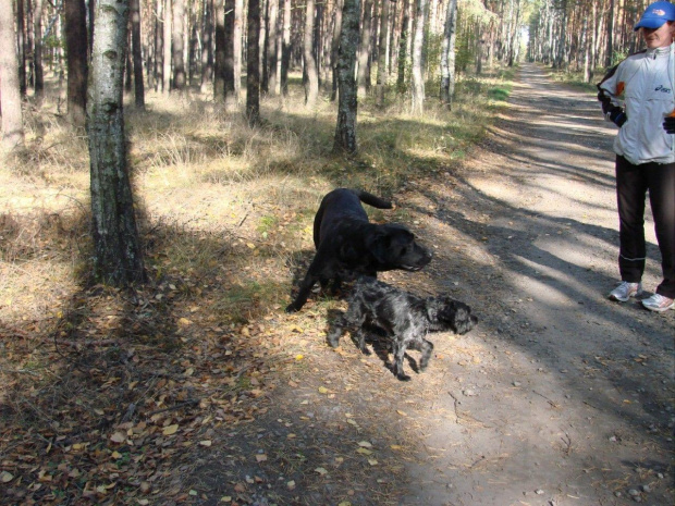 Jesienny poniedziałek