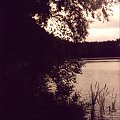 Staw.
