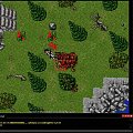 #tibia