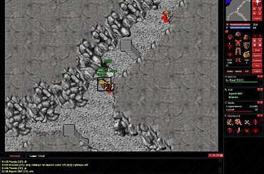 #tibia