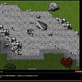 #tibia