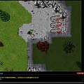 #tibia