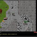 #tibia