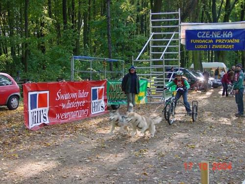Jerry (12 mies.) na swoim pierwszych wyścigach