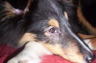 #Piksel_Lexus_030307