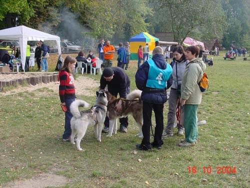 Jerry (12 mies.) na swoim pierwszych wyścigach