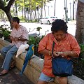 Waikiki, opłata za zdjecie z papużkami #Waikiki #plaża #roślinność #przyroda #CudaNatury #ptaki #Hawaje #USA #Honolulu