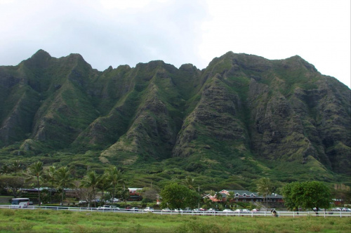 góra #WyspaOahu #roślinność #przyroda #CudaNatury #ptaki #Hawaje #USA #Honolulu