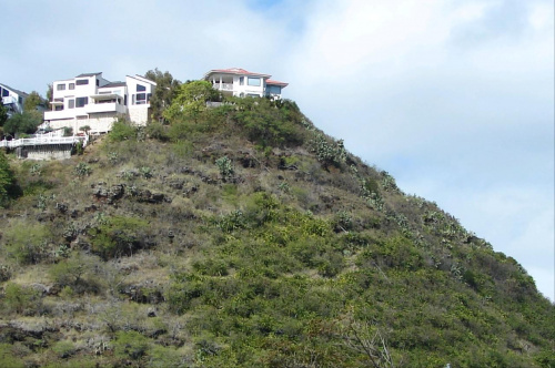 na szczycie domki pobudowano #dom #roślinność #przyroda #CudaNatury #ptaki #Hawaje #USA #Honolulu