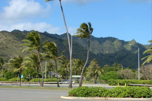 Polinezyjskie Centrum - parkujemy #góry #roślinność #przyroda #CudaNatury #ptaki #Hawaje #USA #Honolulu