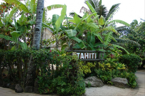 Centrum Kultury Polinezyjskiej - wioska Tahiti #kultura #egzotyka #taniec #rośliny