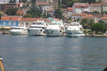 W Rovinj jest świetne muzeum egzotycznych ryb! Nie jest specjalnie duże, ale rewelacyjnie urządzone a morskie żyjątka niesamowite! #ryby #muzeum #miasto #zwiedzanie #wakacje #upał