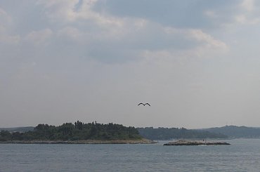 Widok z plaży przy hotelu Belveder na okoliczne wyspy. #wakacje #chorwacja #morze #zwiedzanie #upał #lody