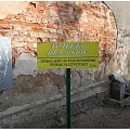 marzec