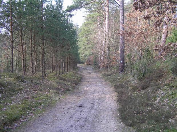 Niebieski szlak Otomin - Gdańsk