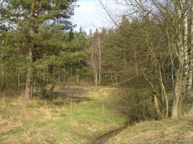 Otomińsko - Sulmińskie klimaty