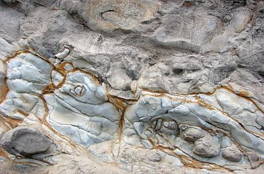 natura mnie wyrzeźbiła, pomalowala #Hawaje #drogi #roślinność #natura #InneŻycie