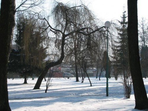 Park nad PIsą #Mazury #Pisz #Zima