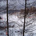 poprzez drzewa .... #narty #Przemyśl #stok #wojtek50 #wyciąg #zima