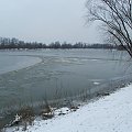 Wisła zamarzła tylko trochę #Puławy #zima #rzeka #Wisła