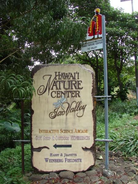kolejne miejsce do zwiedzania #rośliny #natura #tropik #Hawaje #ogrody