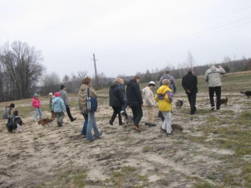 spacer w lasku w Wesołej k/ Warszawy, sheltie + collie z obu forum #sheltie #collie #spacer #Wesoła #lassie