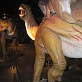 Najinteligentniejszy z Dinozaurów dobiera się do Iguanodona... i to nie w celach rozrywkowo erotycznych :D
