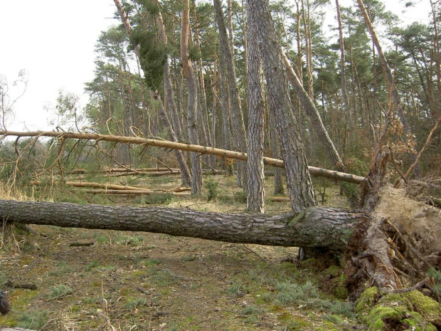 TRABA POWIETRZNA ZIMA 2007 KOLO PŁOCKA- WYKOWO