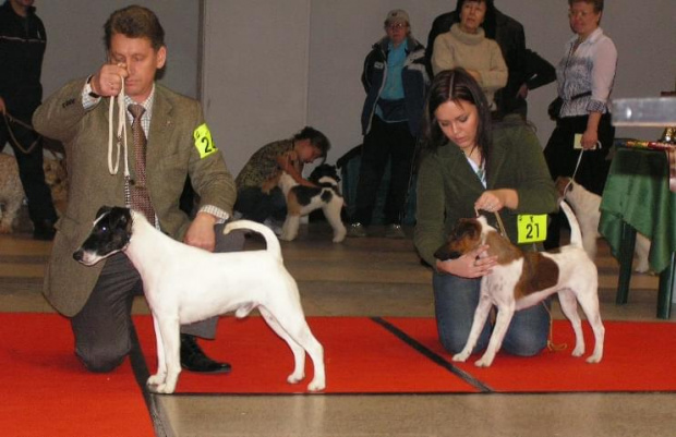 Klubowa Terrierów Wilno 2007