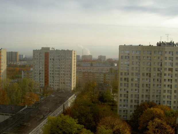 Poznań. Widok z mojego okna