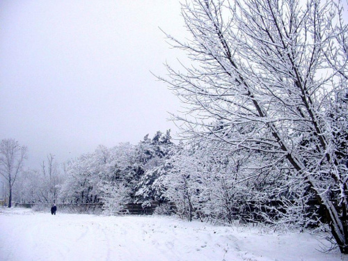 Zimowy krajobraz przy stacji 2 #LegionowoPolskieMiasta