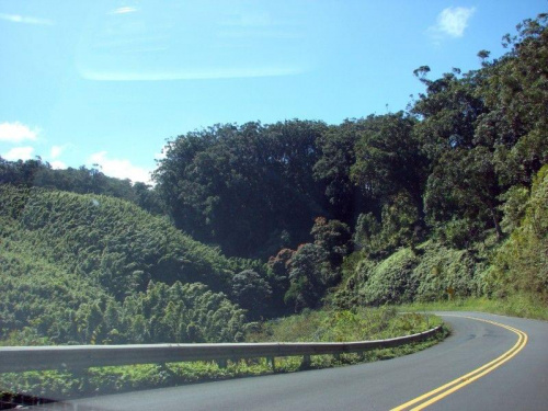 droga do Hana, #wyspy #Maui #Hawaje #Hana